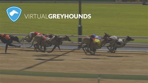 bet365 greyhound results|betfred greyhound results today.